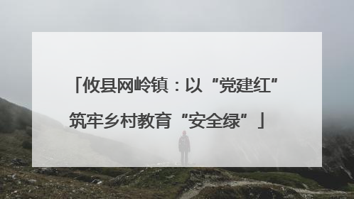 攸县网岭镇：以“党建红”筑牢乡村教育“安全绿”