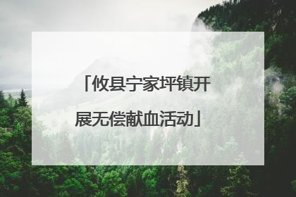 攸县宁家坪镇开展无偿献血活动