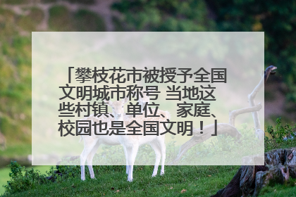 攀枝花市被授予全国文明城市称号 当地这些村镇、单位、家庭、校园也是全国文明！