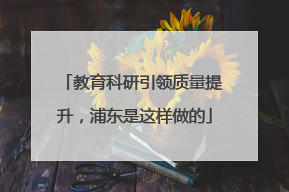 教育科研引领质量提升，浦东是这样做的
