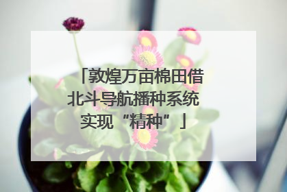 敦煌万亩棉田借北斗导航播种系统实现“精种”