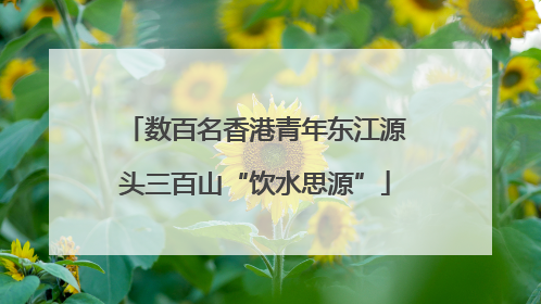 数百名香港青年东江源头三百山“饮水思源”