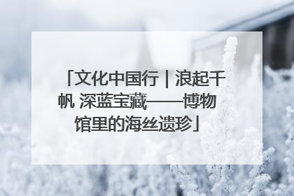 文化中国行｜浪起千帆 深蓝宝藏——博物馆里的海丝遗珍