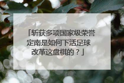 斩获多项国家级荣誉 定南是如何下活足球改革这盘棋的？
