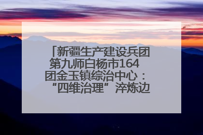 新疆生产建设兵团第九师白杨市164团金玉镇综治中心：“四维治理”淬炼边疆“枫桥样本”