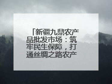 新疆九鼎农产品批发市场：筑牢民生保障，打通丝绸之路农产品贸易枢纽