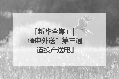 新华全媒+｜“疆电外送”第三通道投产送电