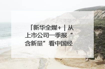 新华全媒+｜从上市公司一季报“含新量”看中国经济发展向“新”