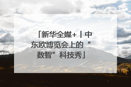 新华全媒+丨中东欧博览会上的“数智”科技秀