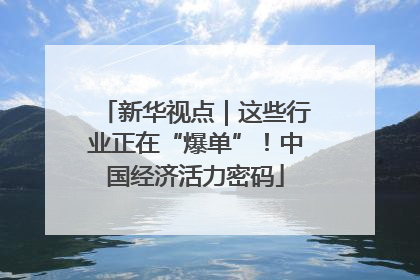 新华视点｜这些行业正在“爆单”！中国经济活力密码