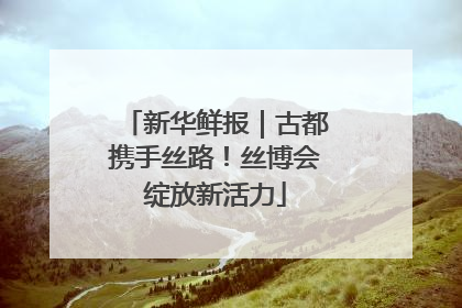 新华鲜报｜古都携手丝路！丝博会绽放新活力