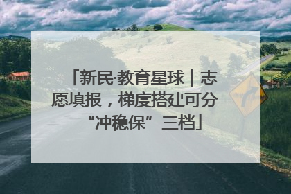 新民·教育星球｜志愿填报，梯度搭建可分“冲稳保”三档