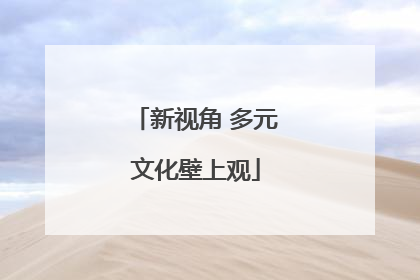 新视角 多元文化壁上观