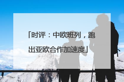 时评：中欧班列，跑出亚欧合作加速度