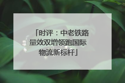 时评：中老铁路量效双增领跑国际物流新标杆