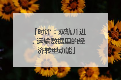 时评：双轨并进，运输数据里的经济转型动能