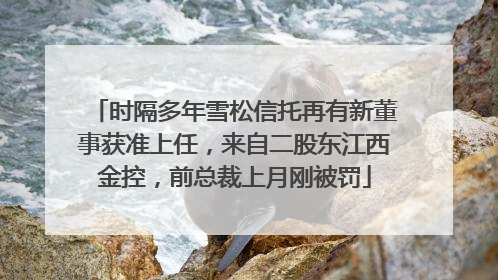 时隔多年雪松信托再有新董事获准上任，来自二股东江西金控，前总裁上月刚被罚