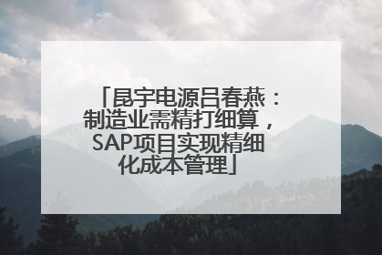 昆宇电源吕春燕：制造业需精打细算，SAP项目实现精细化成本管理