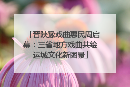 晋陕豫戏曲惠民周启幕：三省地方戏曲共绘运城文化新图景