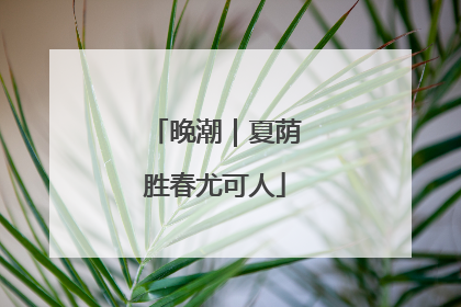 晚潮｜夏荫胜春尤可人
