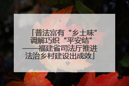 普法富有“乡土味” 调解巧织“平安结”——福建省司法厅推进法治乡村建设出成效