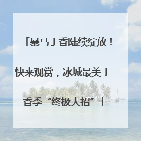 暴马丁香陆续绽放！快来观赏，冰城最美丁香季“终极大招”