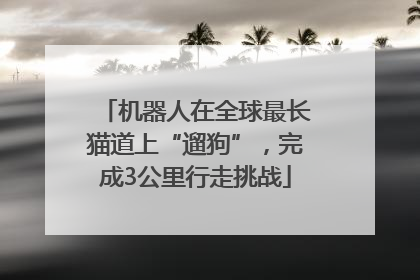 机器人在全球最长猫道上“遛狗”，完成3公里行走挑战