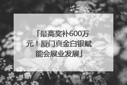最高奖补600万元！厦门真金白银赋能会展业发展