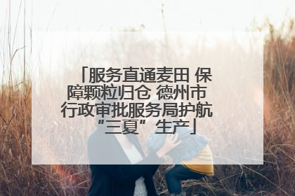 服务直通麦田 保障颗粒归仓 德州市行政审批服务局护航“三夏”生产
