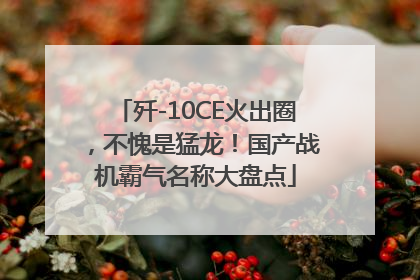 歼-10CE火出圈，不愧是猛龙！国产战机霸气名称大盘点