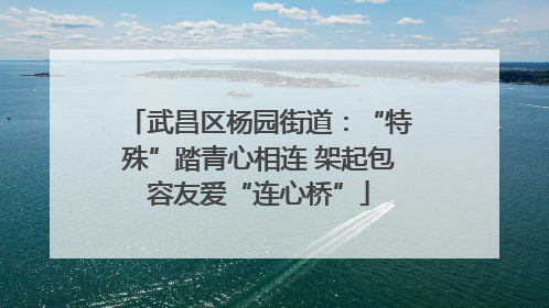 武昌区杨园街道：“特殊”踏青心相连 架起包容友爱“连心桥”