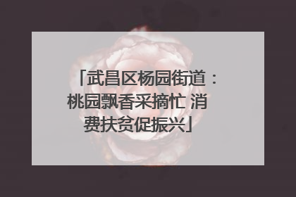 武昌区杨园街道：桃园飘香采摘忙 消费扶贫促振兴