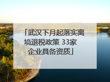 武汉下月起落实离境退税政策 33家企业具备资质