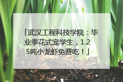 武汉工程科技学院：毕业季花式宠学生，1.25吨小龙虾免费吃！