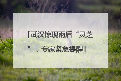 武汉惊现雨后“灵芝”，专家紧急提醒