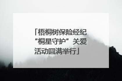 梧桐树保险经纪“桐星守护”关爱活动圆满举行