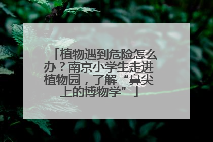 植物遇到危险怎么办？南京小学生走进植物园，了解“鼻尖上的博物学”