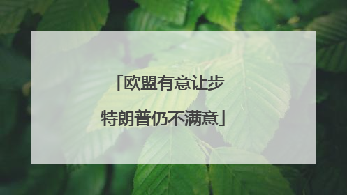 欧盟有意让步 特朗普仍不满意