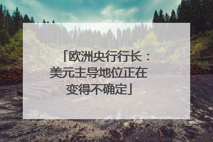 欧洲央行行长：美元主导地位正在变得不确定