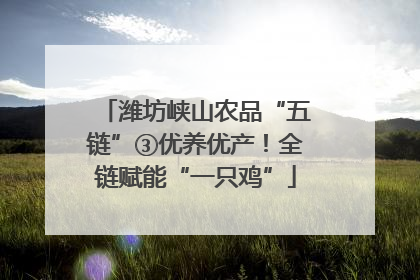 潍坊峡山农品“五链”③优养优产！全链赋能“一只鸡”