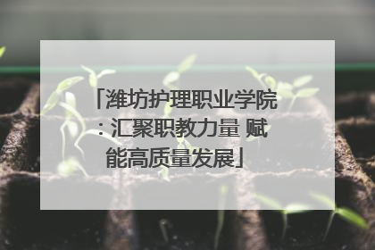 潍坊护理职业学院：汇聚职教力量 赋能高质量发展