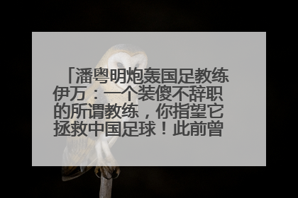 潘粤明炮轰国足教练伊万：一个装傻不辞职的所谓教练，你指望它拯救中国足球！此前曾多次发文评价国足