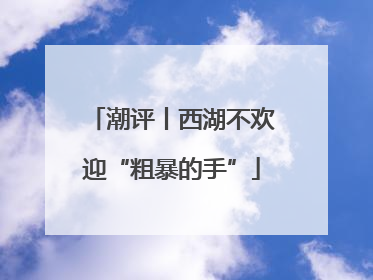 潮评丨西湖不欢迎“粗暴的手”