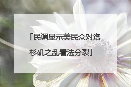 民调显示美民众对洛杉矶之乱看法分裂