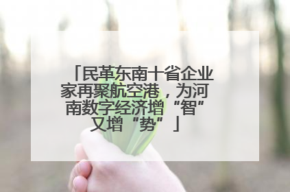 民革东南十省企业家再聚航空港，为河南数字经济增“智”又增“势”