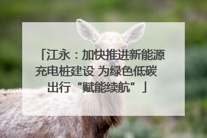 江永：加快推进新能源充电桩建设 为绿色低碳出行“赋能续航”