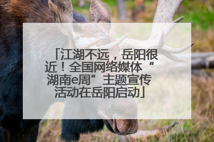江湖不远，岳阳很近！全国网络媒体“湖南e周”主题宣传活动在岳阳启动
