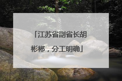 江苏省副省长胡彬郴，分工明确