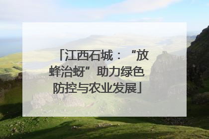 江西石城：“放蜂治蚜”助力绿色防控与农业发展