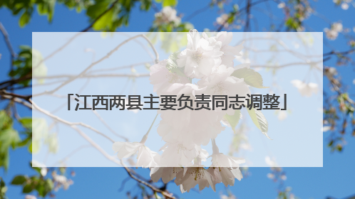 江西两县主要负责同志调整